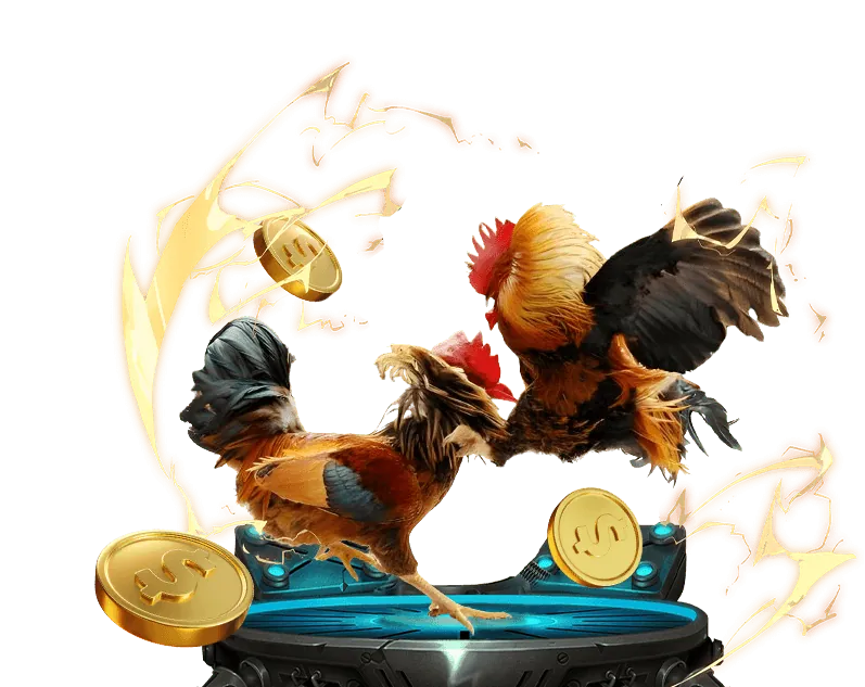 Hình ảnh đá gà trực tuyến, mô tả một trận đấu.